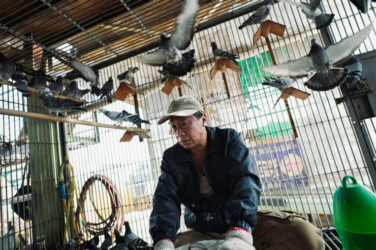 Q EZv1X4Mh6vaMTCerditZokM67KBcztypDClYPT08Q